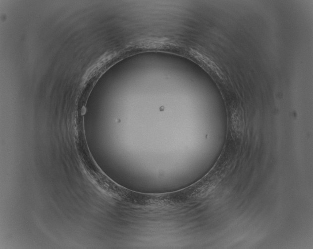 X0000073700682200608171113