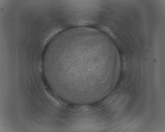 X0000073700683200608171113