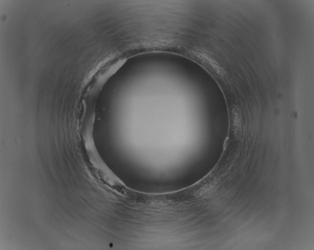 X0000073700684200608171113