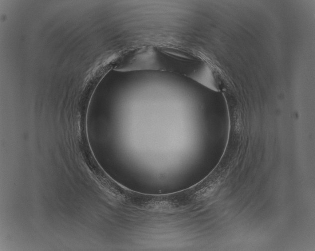 X0000073700685200608171113