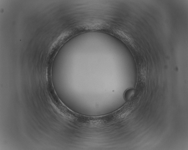 X0000073700686200608171113