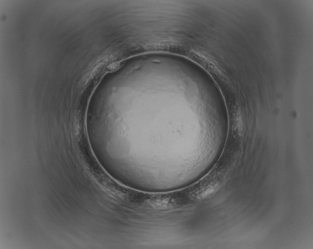 X0000073700687200608171113