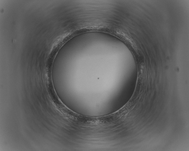 X0000073700688200608171113