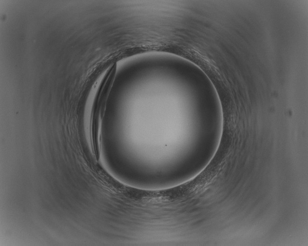 X0000073700689200608171113