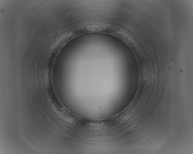 X0000073700690200608171113