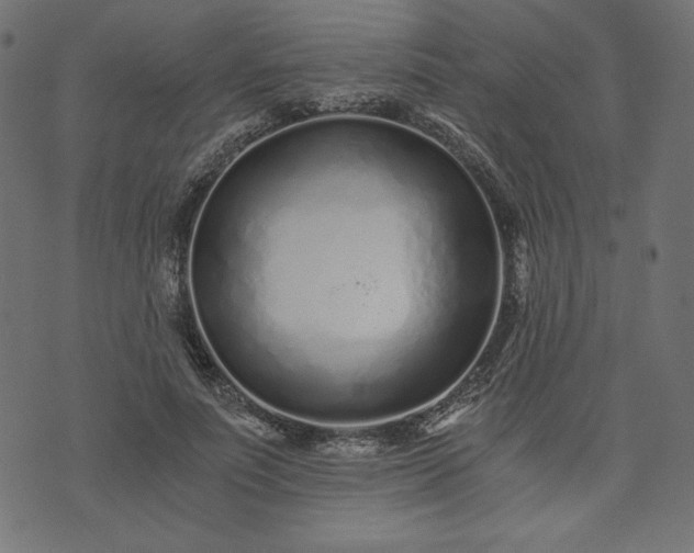 X0000073700691200608171113