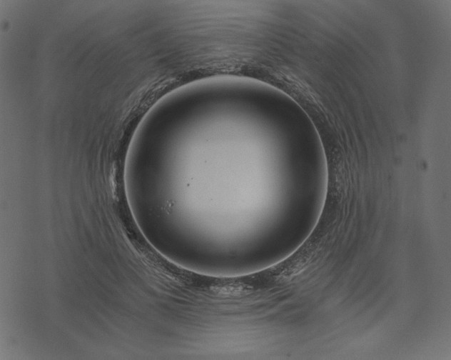 X0000073700693200608171113