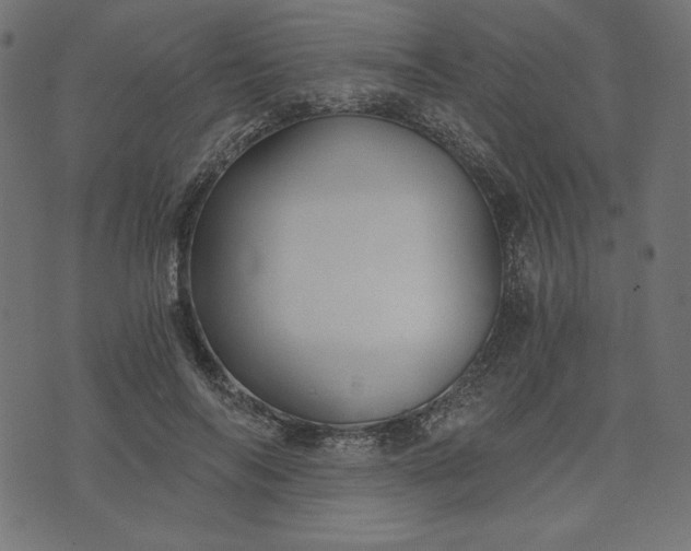 X0000073700694200608171113