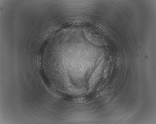 X0000073700695200608171113