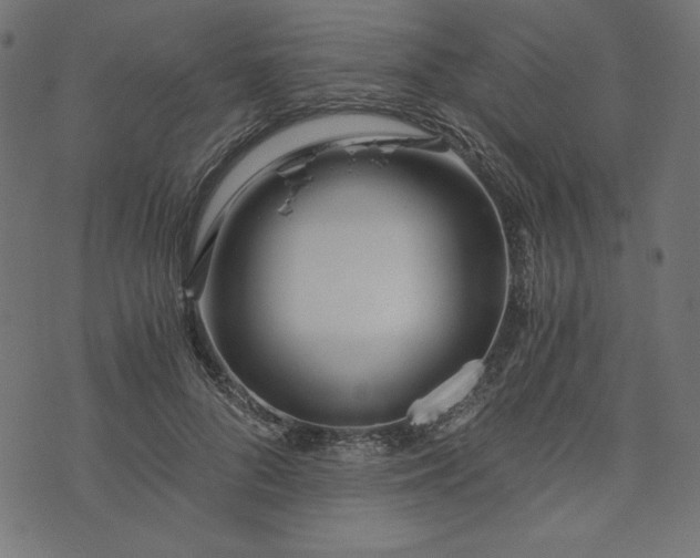 X0000073700696200608171113