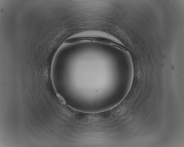 X0000073700697200608171113