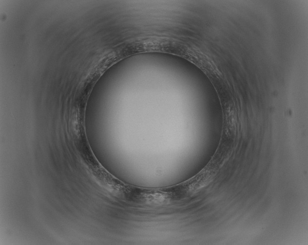 X0000073700698200608171113