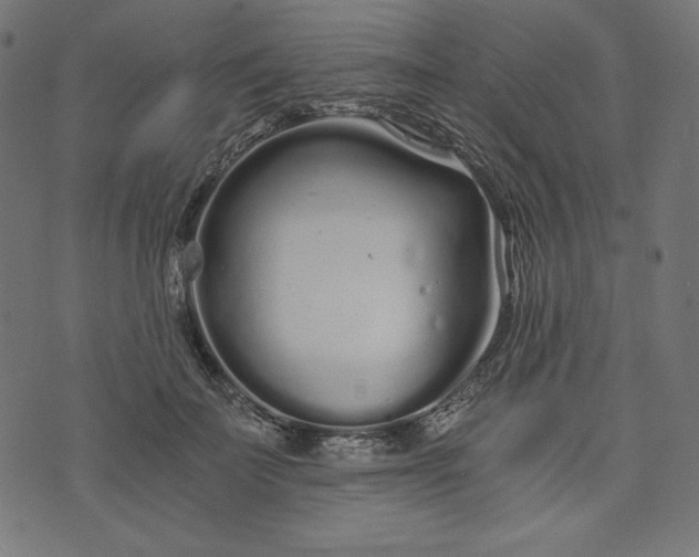 X0000073700699200608171113