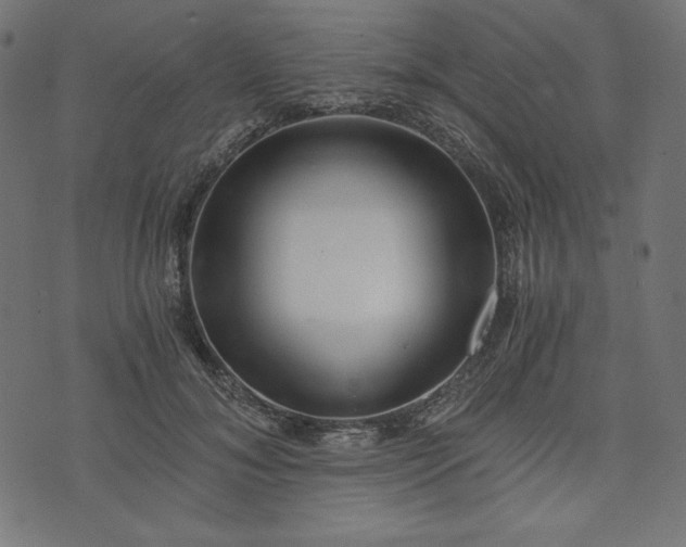 X0000073700700200608171113