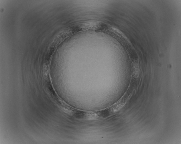 X0000073700701200608171113