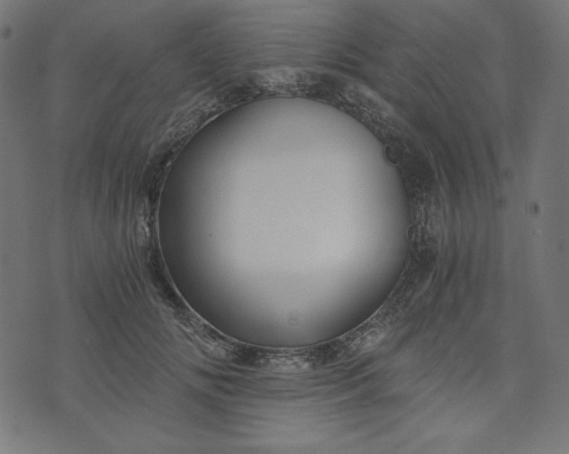 X0000073700702200608171113