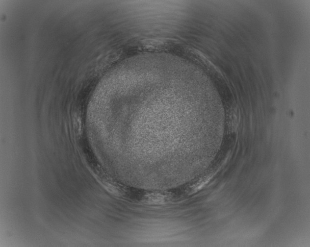 X0000073700703200608171113