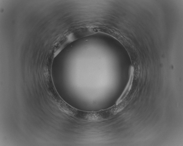 X0000073700704200608171113