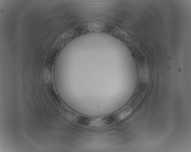 X0000073700705200608171113