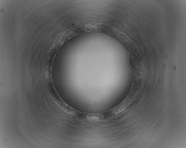 X0000073700706200608171113