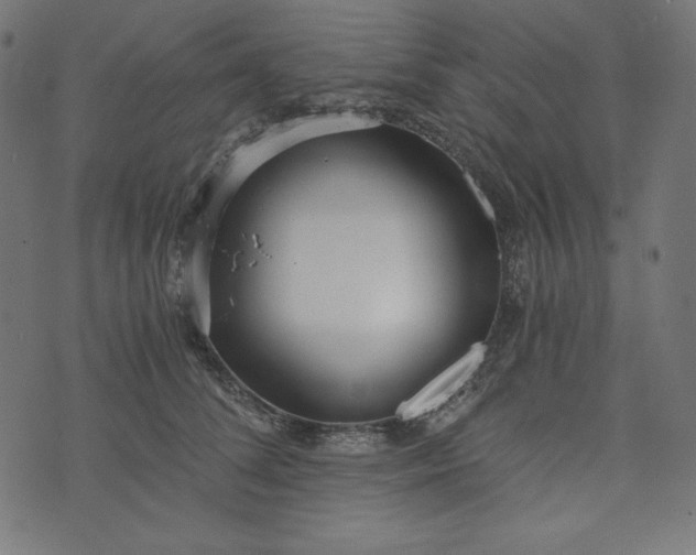 X0000073700708200608171113