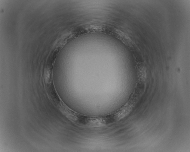 X0000073700709200608171113