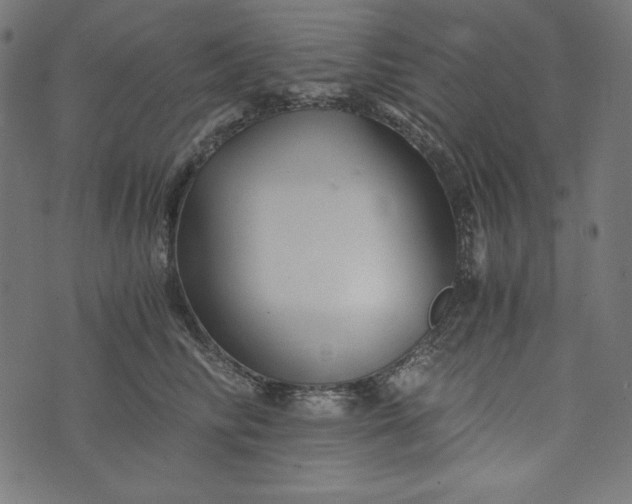 X0000073700710200608171113