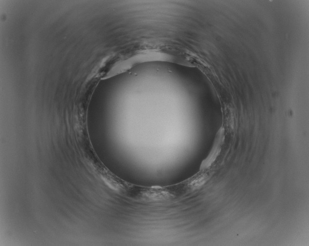 X0000073700712200608171113