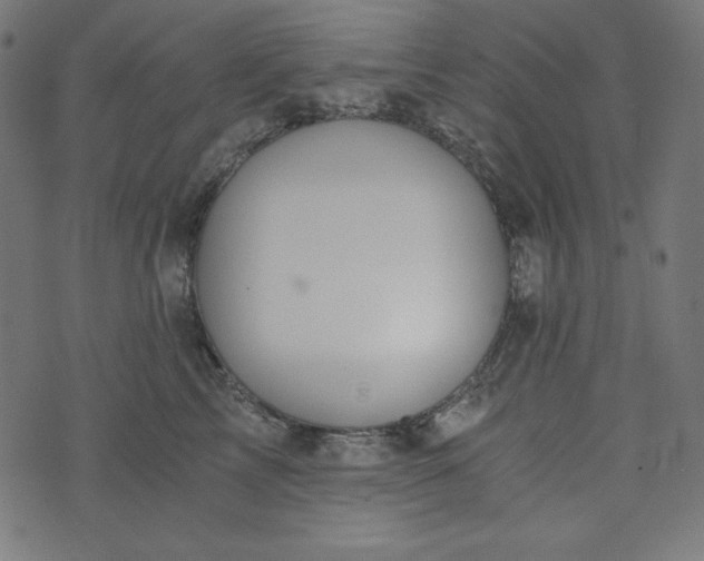 X0000073700713200608171113