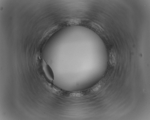 X0000073700714200608171113