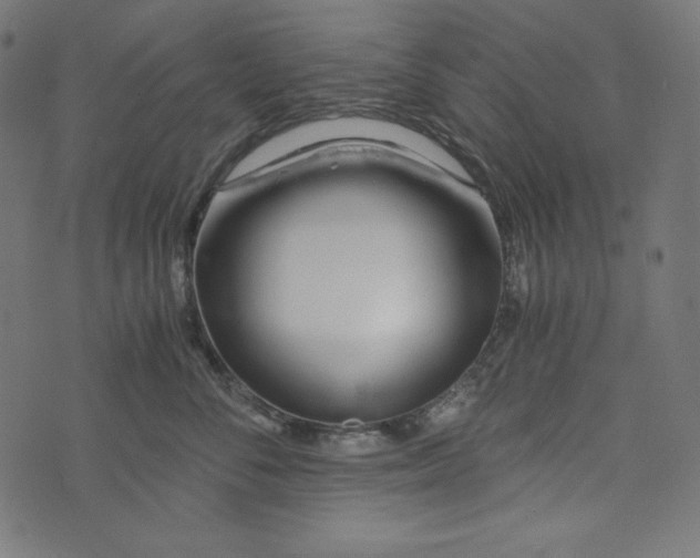 X0000073700716200608171113