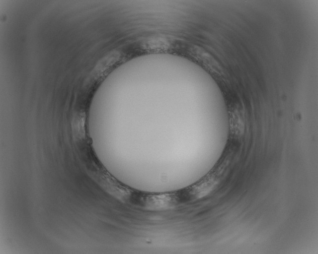 X0000073700717200608171113