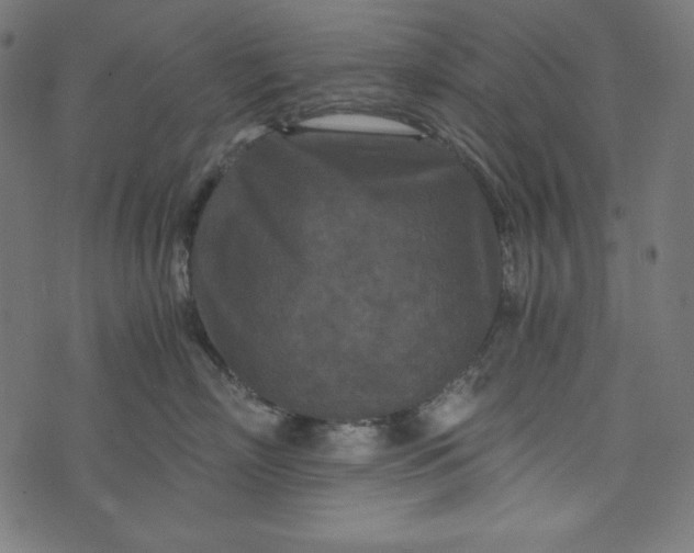 X0000073700718200608171113