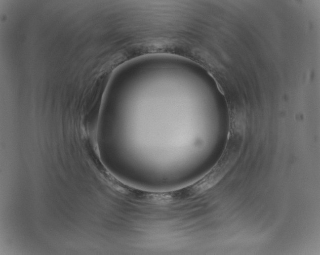 X0000073700719200608171113