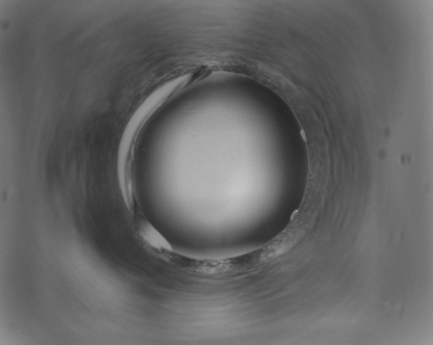 X0000073700720200608171113