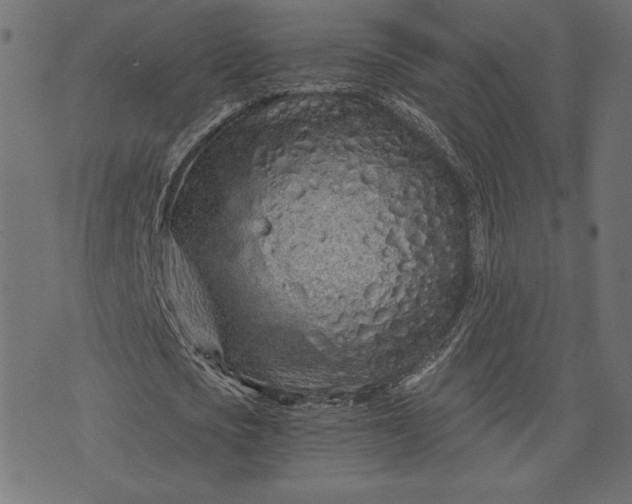 X0000073700721200608171112