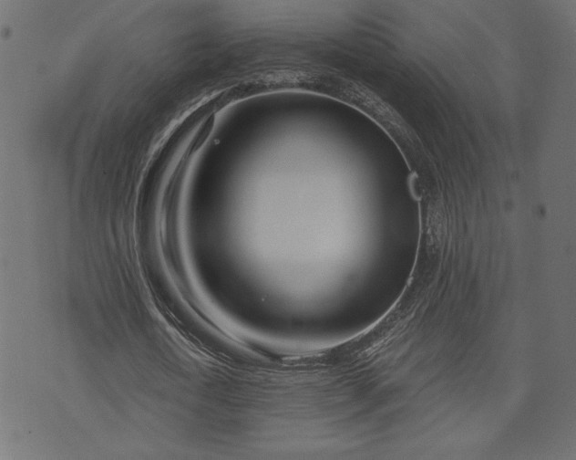 X0000073700722200608171112