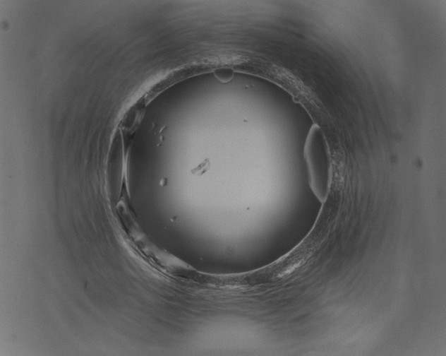 X0000073700726200608171112