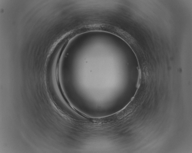 X0000073700728200608171112