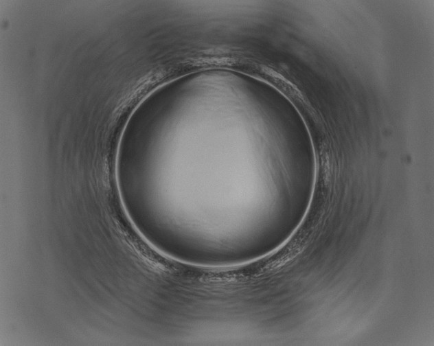 X0000073700729200608171112