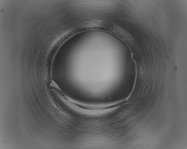 X0000073700732200608171112