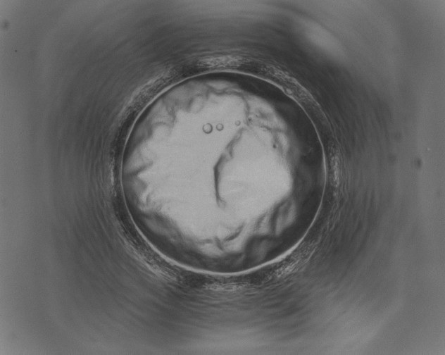 X0000073700733200608171112