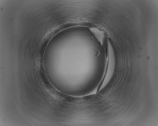 X0000073700736200608171112