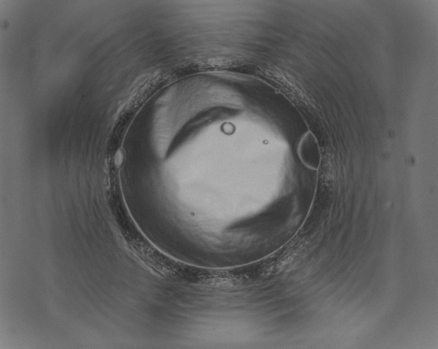 X0000073700738200608171112