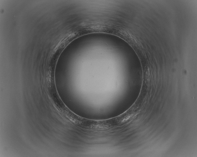 X0000073700739200608171112