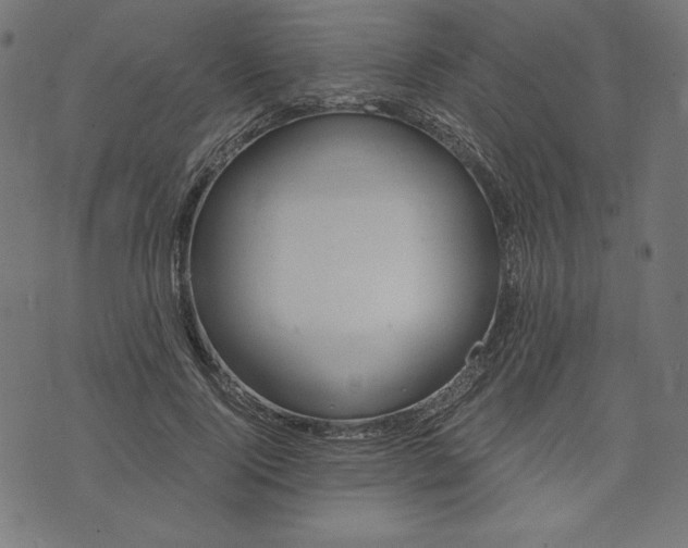 X0000073700740200608171112