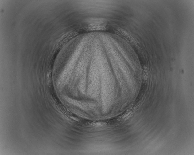 X0000073700741200608171112