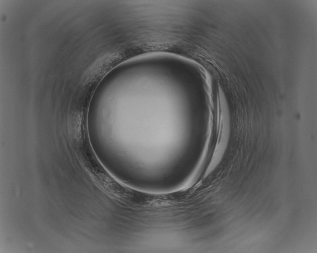 X0000073700742200608171112