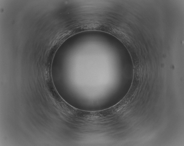 X0000073700743200608171112