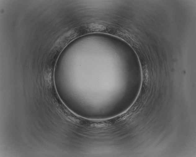 X0000073700745200608171112